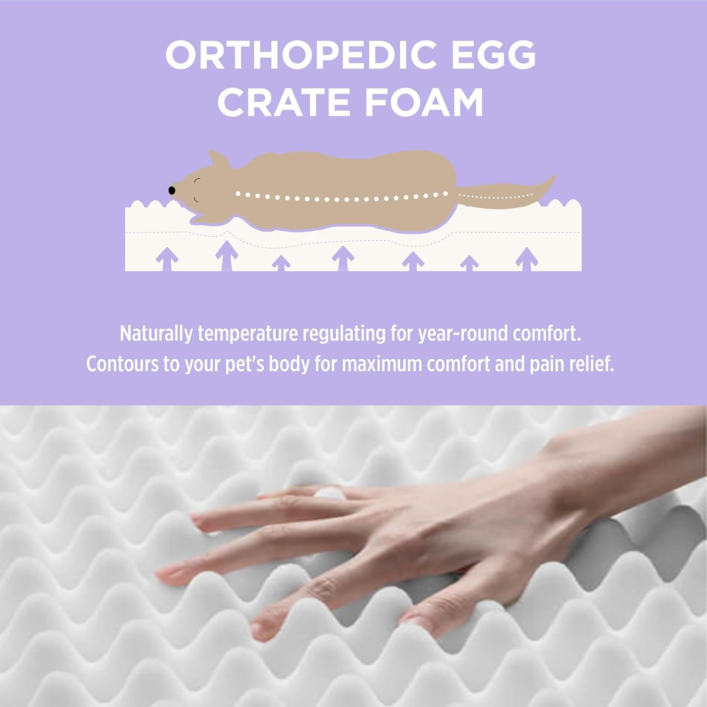 Outdoor Waterproof Dog Beds Large Sized Dog, Orthopedic Egg Crate Foam Pet Bed with Oxford Fabric Surface and Removable Washable Cover, Pet Mat 36''X27'', Green