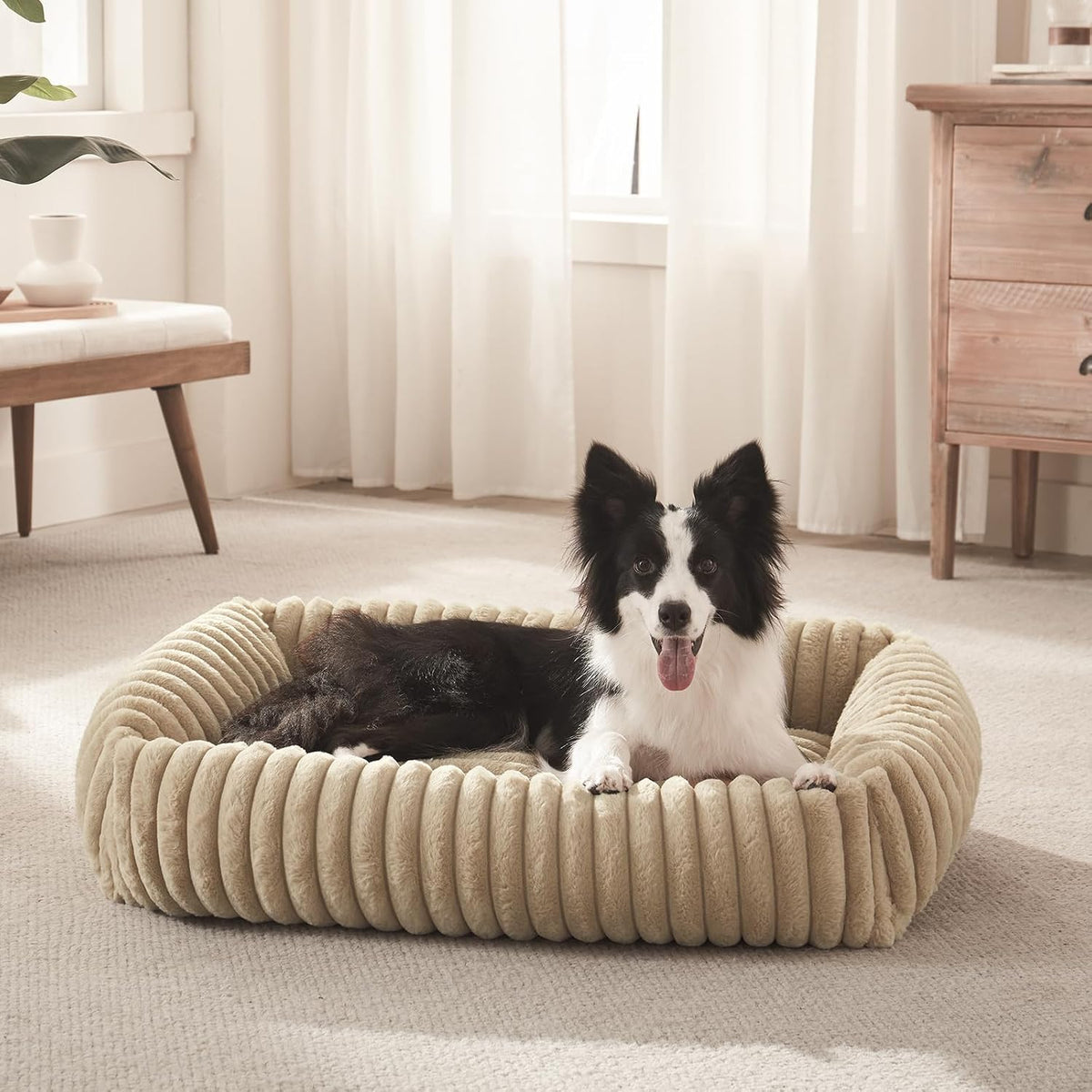 FURTIME Dog Bed for Small Dogs, Washable Orthopedic Dog Bed with Removable Cover, Rectangle Soft Calming Sleeping Puppy Bed Durable Pet Cuddler with Anti-Slip Bottom, Beige, S (20"X19"X6")