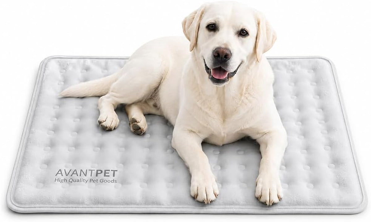 Non-Toxic Gel Cooling Mat for Dogs Large 31.5X23.6 In, Light Grey