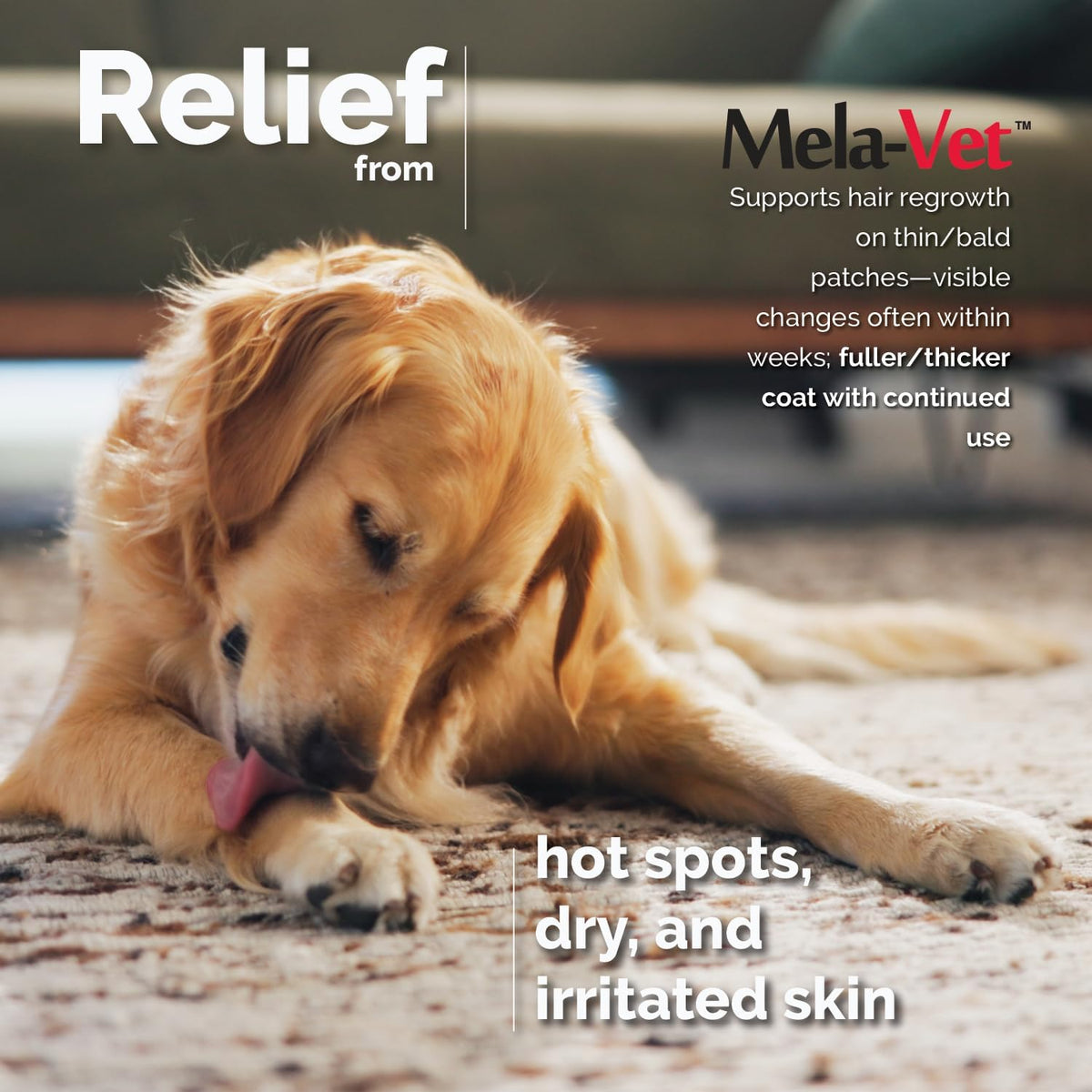 Melatonin Calming Soft Chews for Dogs – Vet-Formulated Anxiety Relief for Travel, Fireworks & Separation Stress, Helps Reduce Tension & Restlessness, Supports Healthy Skin & Coat – 120 Soft Chews