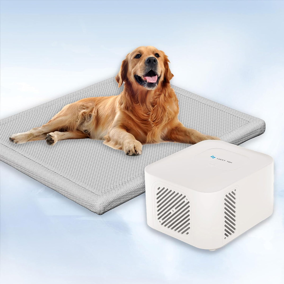 Pet Pad Cooling System for Summer, Consistent Cooling Water Mat for Dogs and Cats, No Refrigeration or Chemical Gel Needed, Machine Washable Bed, Ideal for Home and Crates (Light Gray, XL)
