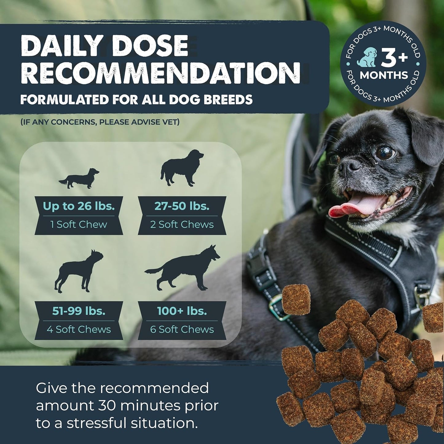 Mighty Paw Calming Chews for Dogs with Melatonin - Vet Formulated Dog Sleep Aid - Puppy & Large Pet Treats - Waggables Calm -Composure Calming Chews for Stress & Relaxation, 120 Count (Made in USA)