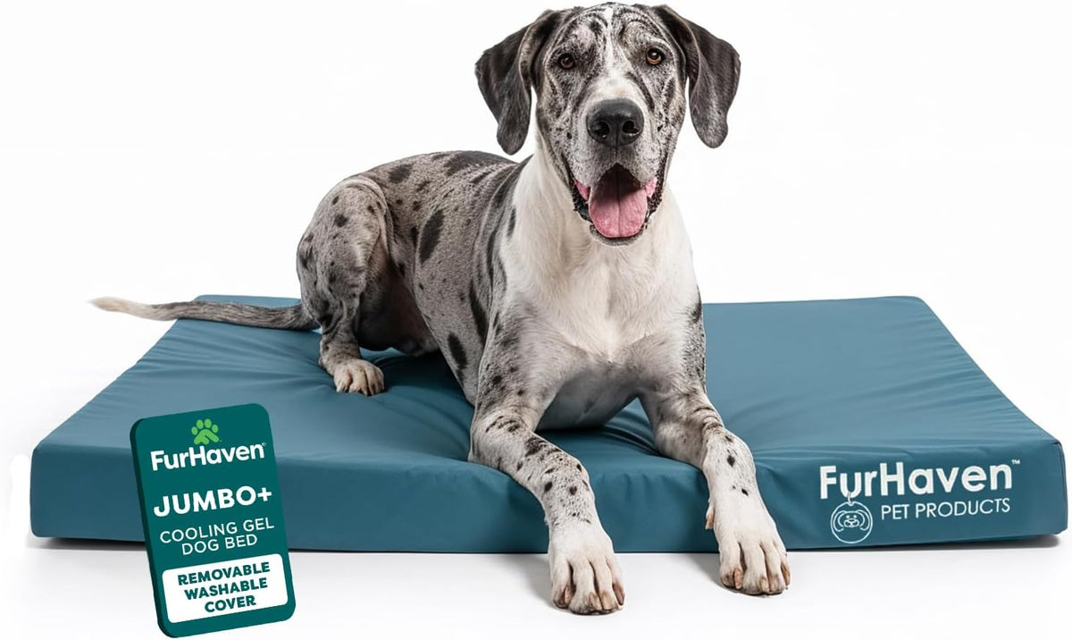 Furhaven Water-Resistant Cooling Gel Dog Bed for Large Dogs, Cool Gel-Top Foam with a Solid Orthopedic Foam Base for Comfort and Support, Washable Cover, Jumbo plus XXL, Polycanvas, Deep Lagoon