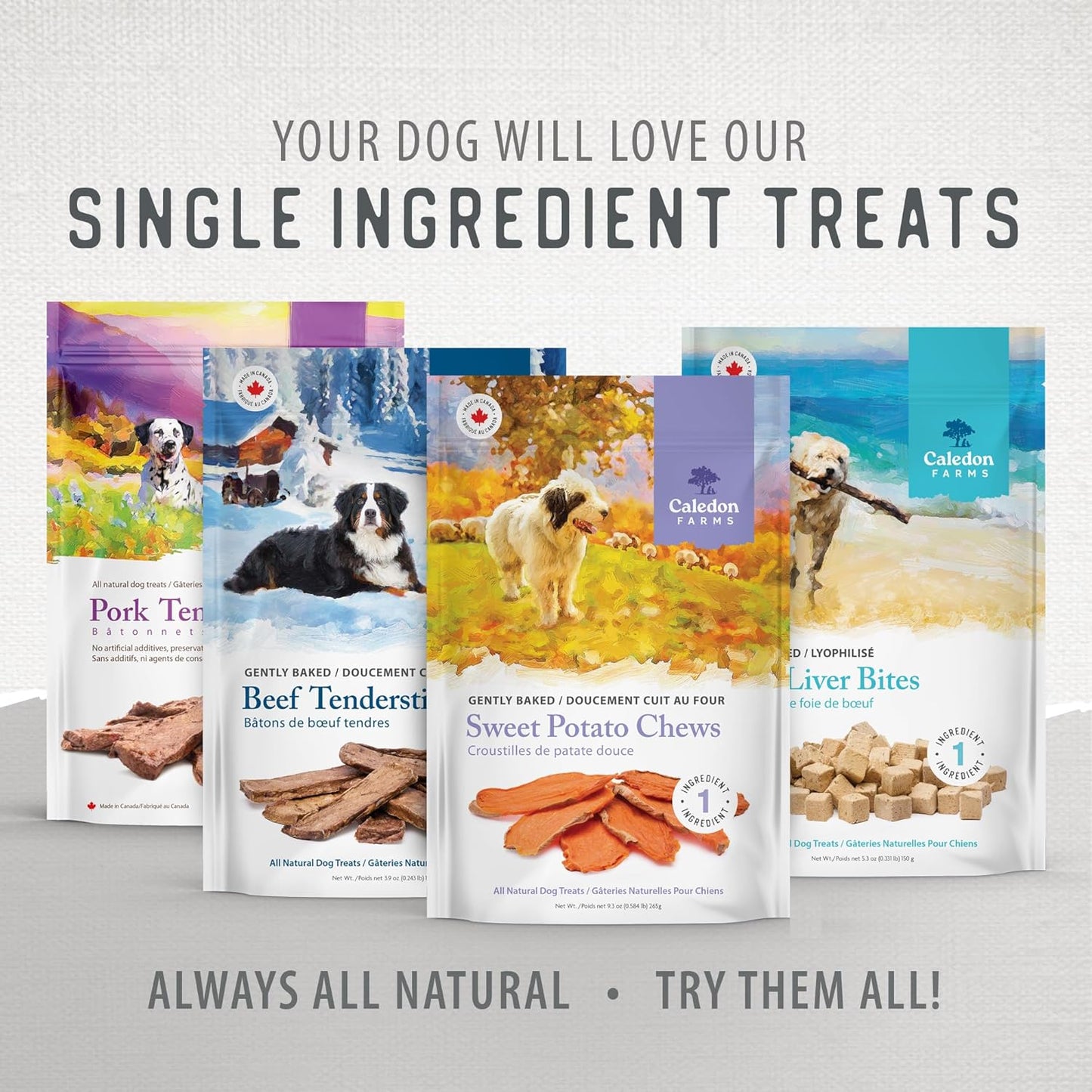 Caledon Farms Beef Tendersticks All Natural Dog Treats 3.9Oz / 110 Grams