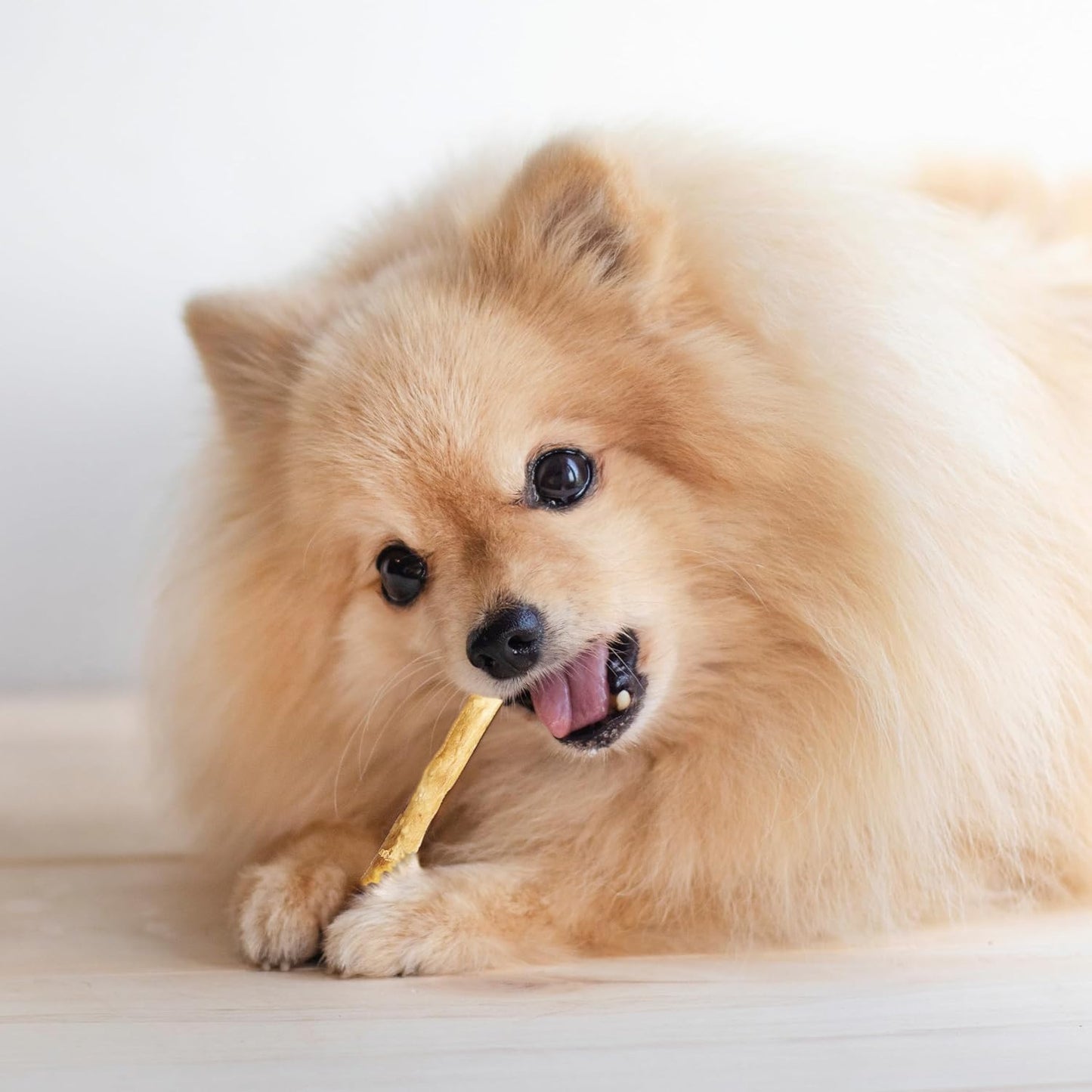 Fieldcrest Farms Nothin' to Hide Twist Stix, Chicken Flavor, Easily Digestible, Supports Skin, Coat, Joints & Muscles, for Moderate Chewers under 15Lbs, 10 Pcs