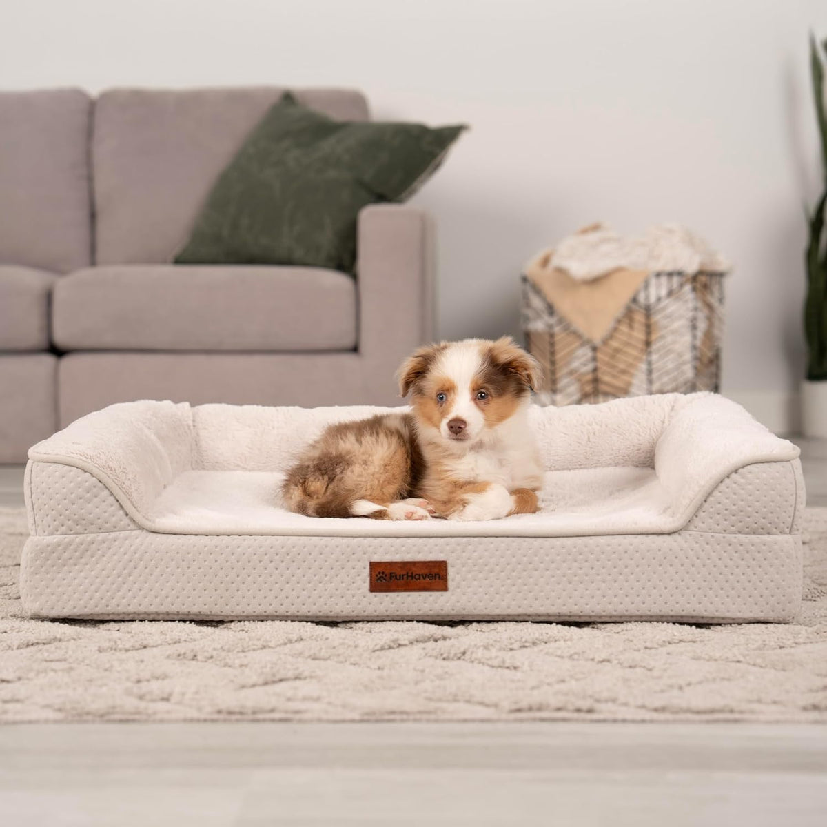 Furhaven Medium (30"X20") Cooling Gel Dog Bed – Cool Gel Memory Foam Sofa Pet Bed, Embossed Velvet, Removable Washable Cover, Clay