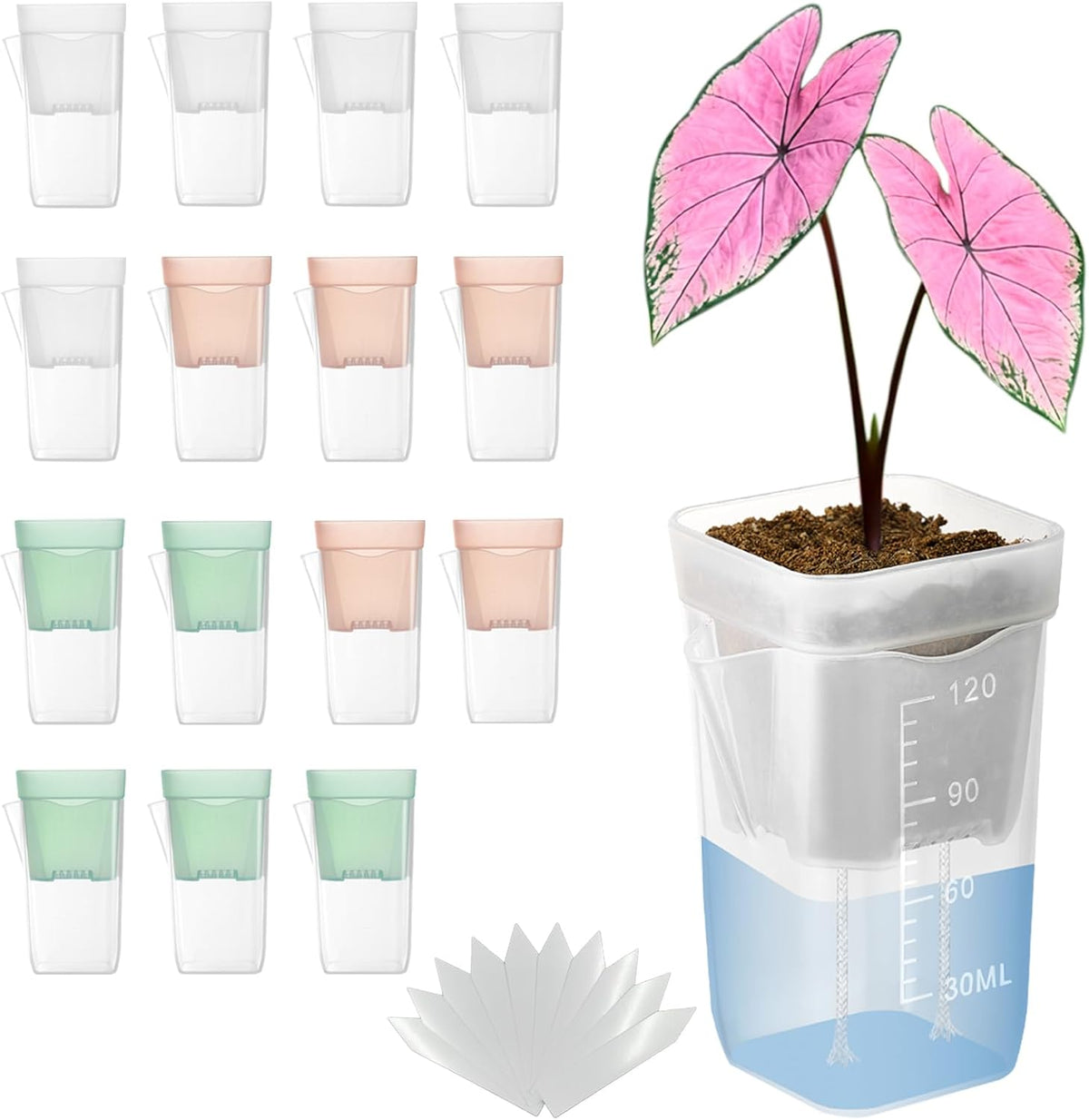 15 Pack 2 Inch Clear Self Watering Pots for Indoor Plants,Multi-Color