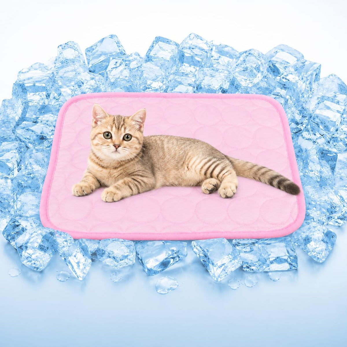 Small Dog Cooling Mat Ice Silk 16X12In Pet Summer Pad for Cats Pink
