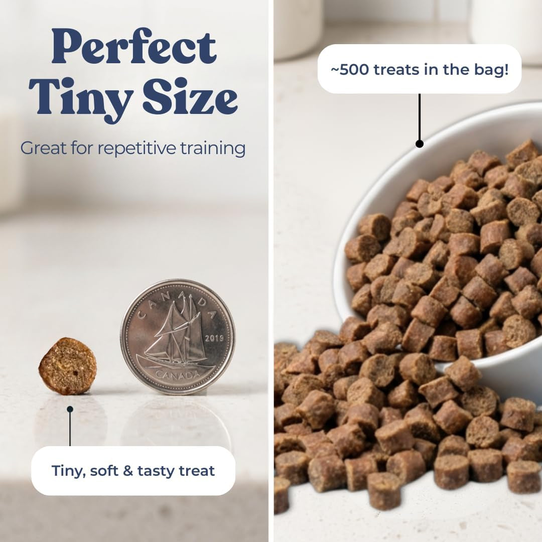 Healthybud Mini Salmon Dog Training Treats – Soft Low Calorie Bites (1 Kcal Each) – 500+ Tiny Rewards for Puppies & Small Dogs – Salmon Oil, Lion’S Mane & Reishi – Grain Free – Made in Canada – 6.5 Oz