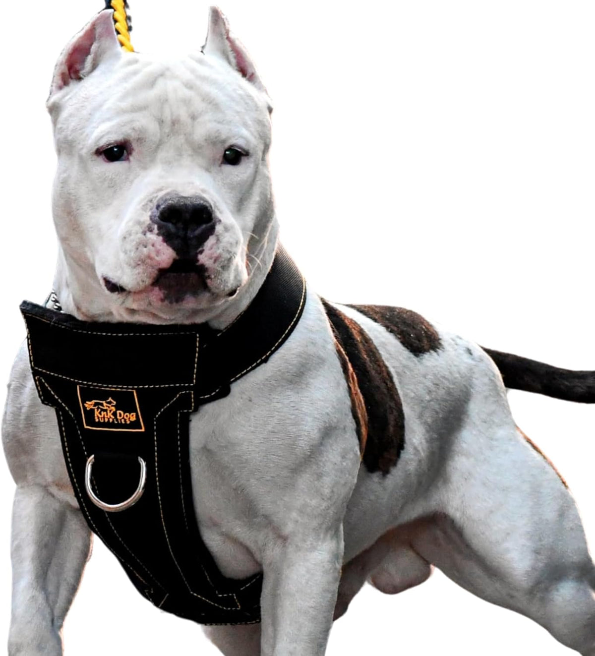 KNK | Heavy Duty Dog Harness for Pitbulls, Bullies and Large Breeds - No Pull, Ultra Durable, Soft Padded Chest, Metal Leash Attachment