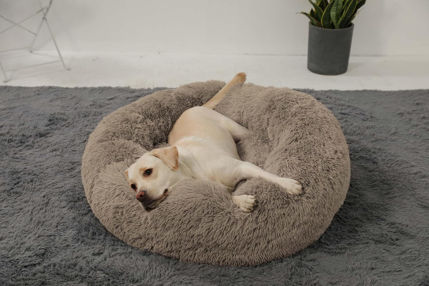 HACHIKITTY Calming Donut Cuddler Dog Bed, round Fluffy Pet Bed with Sewn-In Cushionfor Large Dogs,Washable, Large, Taupe, 30''