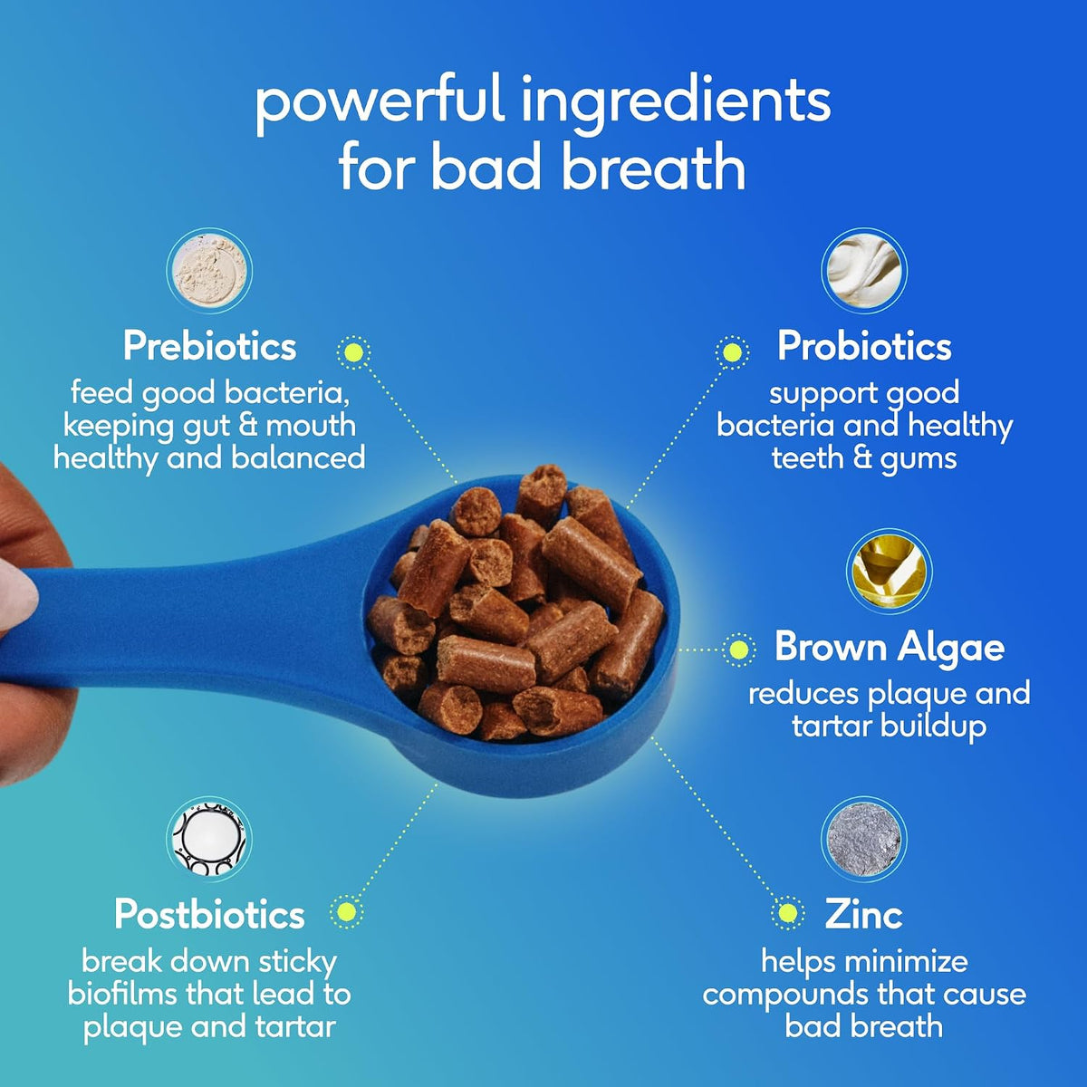 Native Pet Clean Breath Dog Dental Care - Teeth Cleaning for Fresh Breath, Clean Teeth & Healthy Gums - Tartar and Plaque Remover - Dog Breath Freshener - 60 Scoops
