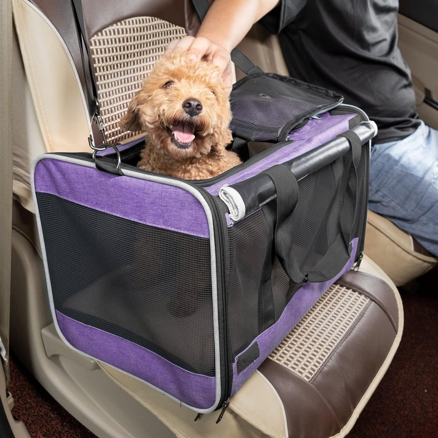 GAPZER Carrying Bag for Yorkie Dog Travel Kennel Ventilated Softside Pet Carrier Tiny Dog Crate for Teacup Poodle 12Lb Large Kitty Transport Cage with Cover Chihuahua Supply Purple