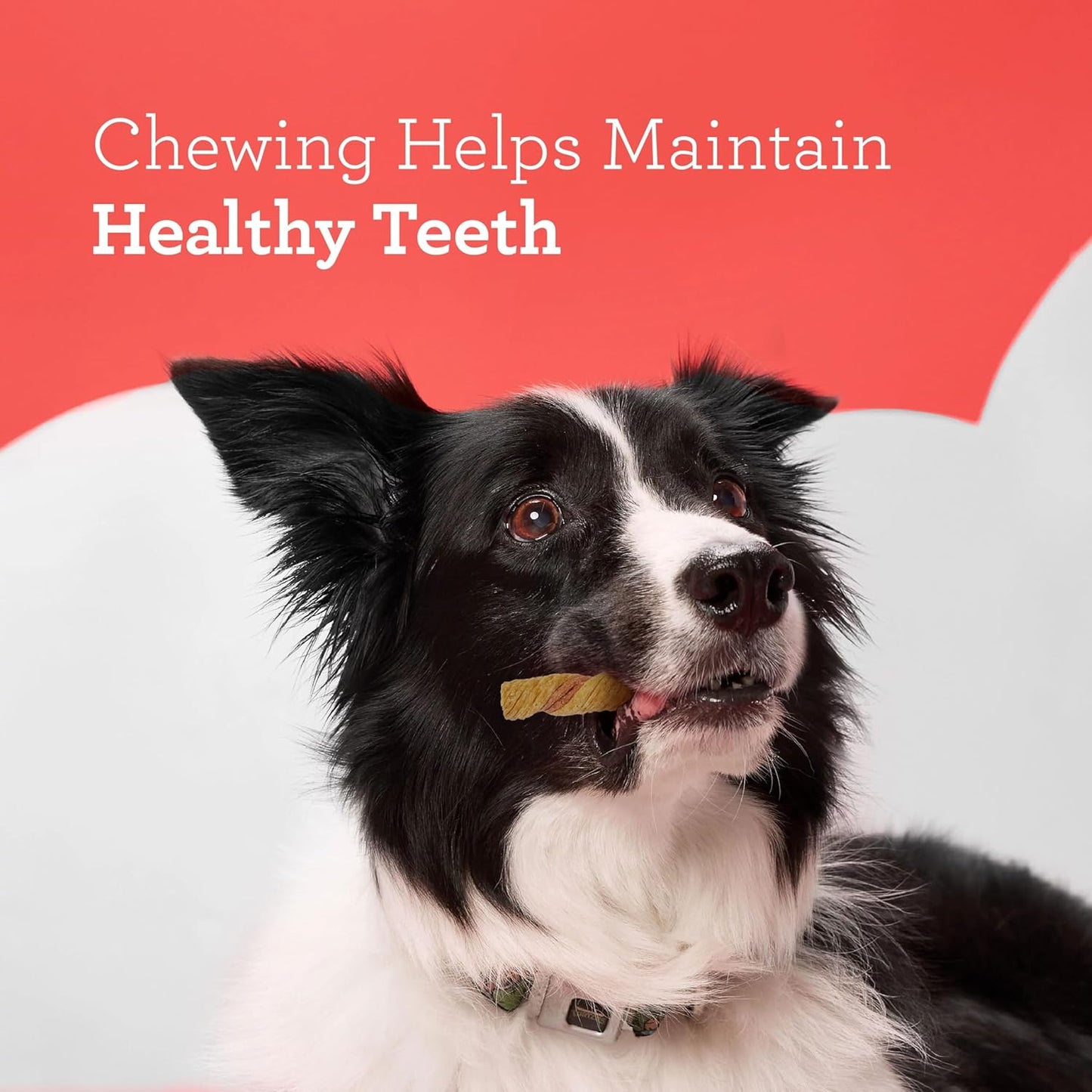Dreambone Puffy Rolls Chews for Dogs, 8 Count, Treat Your Dog to Easy-To-Digest Rawhide-Free Chews Made with Real Peanut Butter and Bison