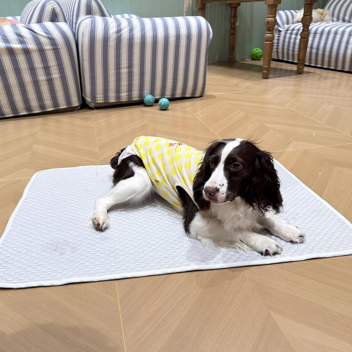 Cooling Mat for Medium Dog 38"X26", Washable Waterproof Non-Slip