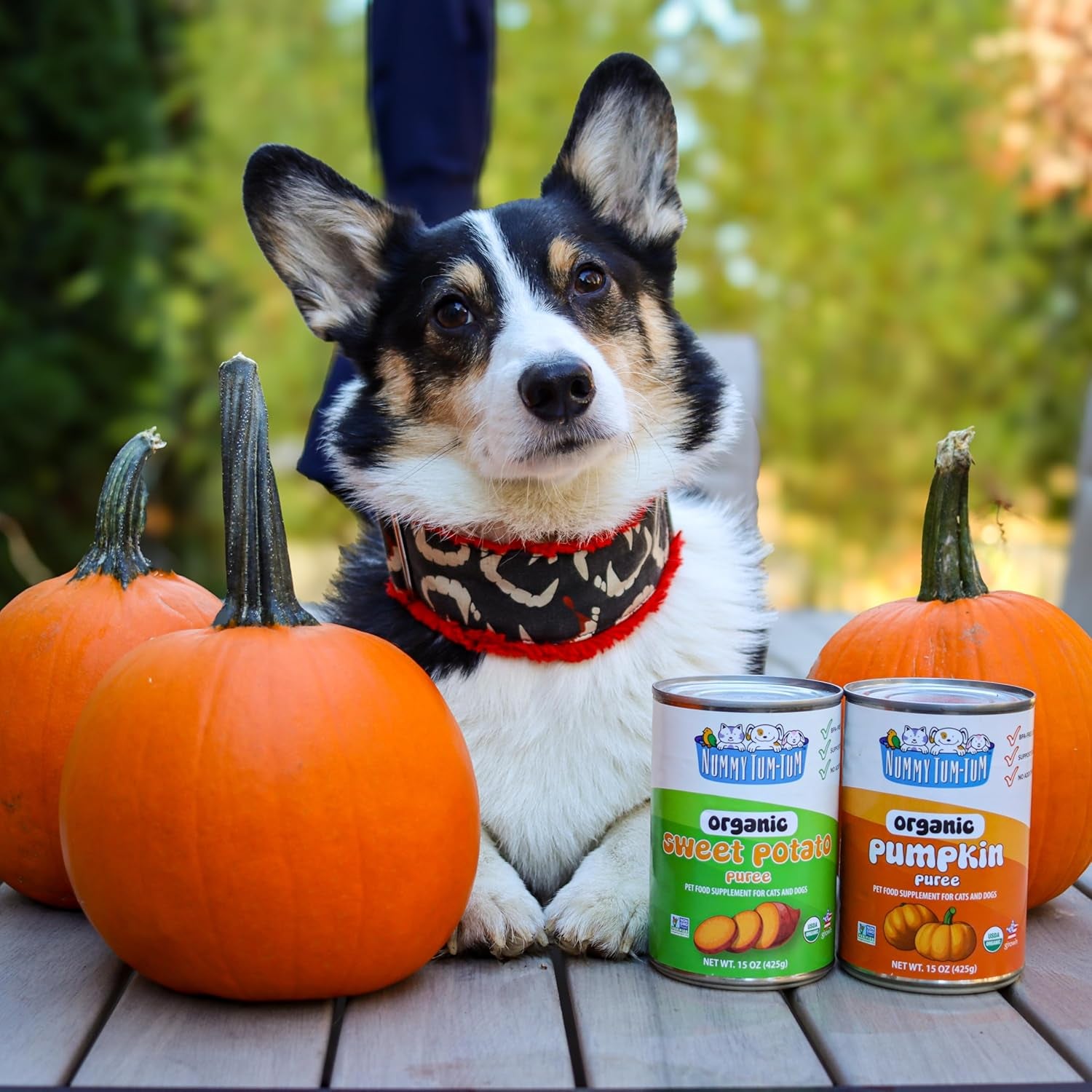 Nummy Tum Tum Organic Pumpkin for Dogs & Cats, 15 Ounce (Pack of 12)