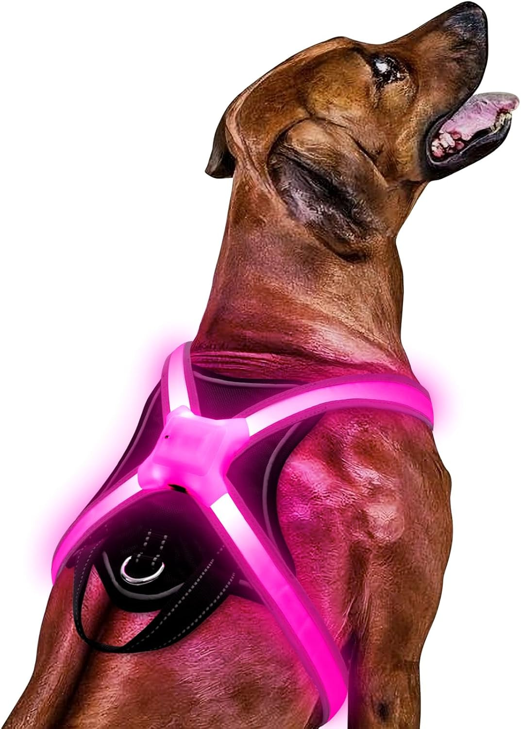 Light up Dog Harness–Multicolor LED Dog Harness with 7 Lighting Modes | No Pull USB Rechargeable Safety Vest with Handle for Medium Large Dogs | Waterproof & Adjustable Glow-In-The-Dark Illuminated(L)