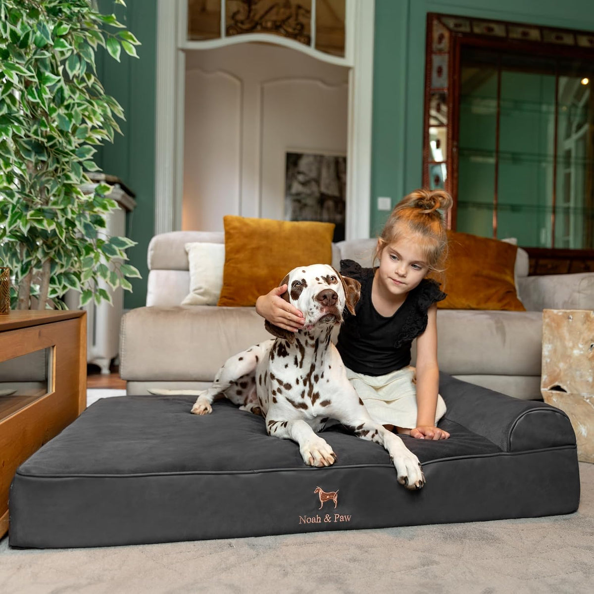 NOAH & PAW XL Dog Bed, 45X35X9.1 Inch, Orthopedic Large Dog Beds, Eggshell Memory Foam Infused with Cooling Gel, Water Resistant, Machine Washable, Includes Inner Cover