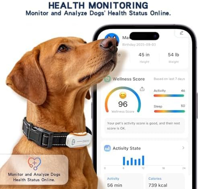 DBDD AI GPS Tracker for Dogs (White) with Virtual Fence & Real-Time Location - Waterproof Electronic Collar for Escape Artists, AI Health Monitor for Medium to Large Dogs (30Lbs+), Ios & Android