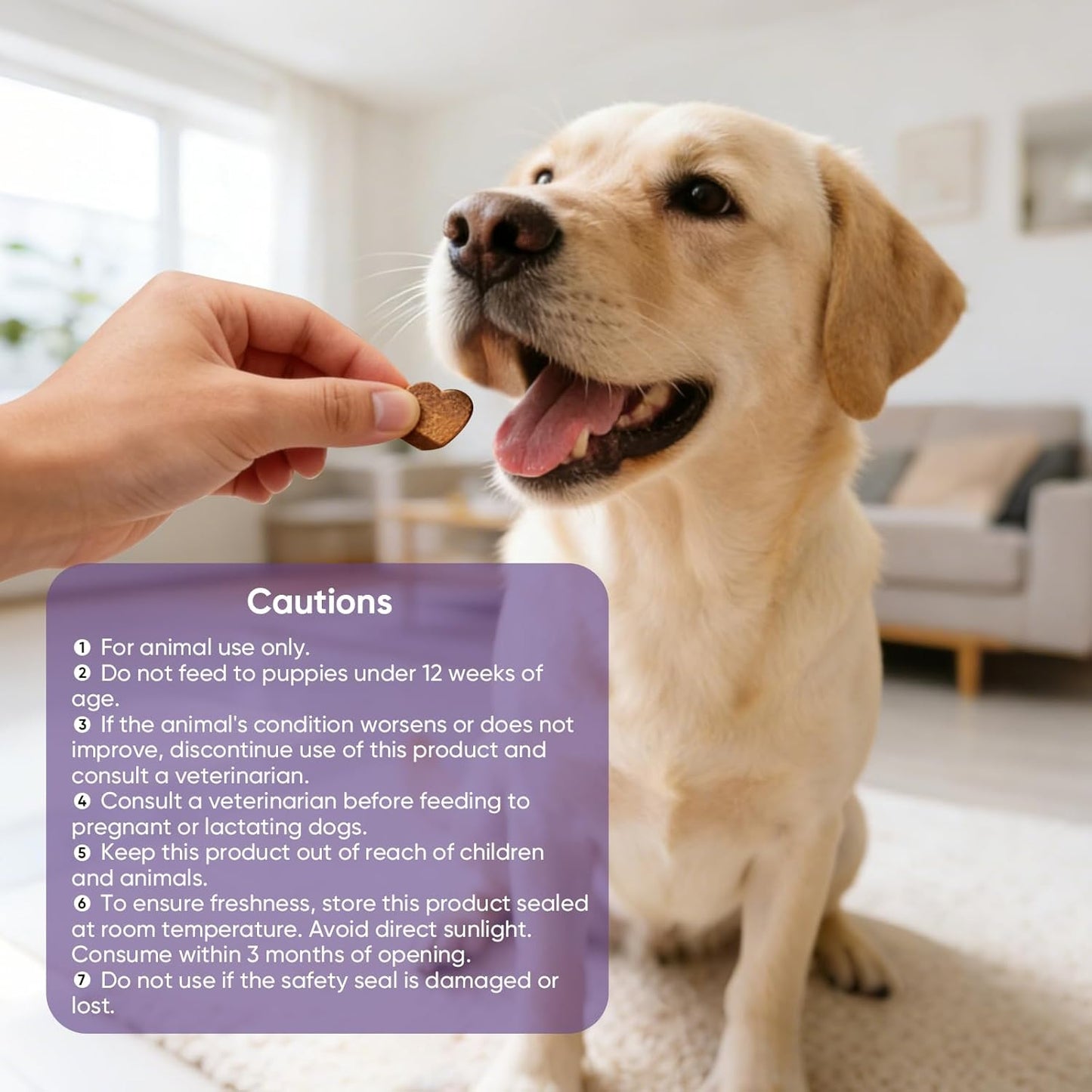 Calming Chews for Dogs 200Pc Dog Calming Treat and Bites with Melatonin - Anxiety and Stress Relief Treats for Dogs Puppy Sleep Aid Calm Dog with Noise,Thunder, Barking, Separation,Chewing
