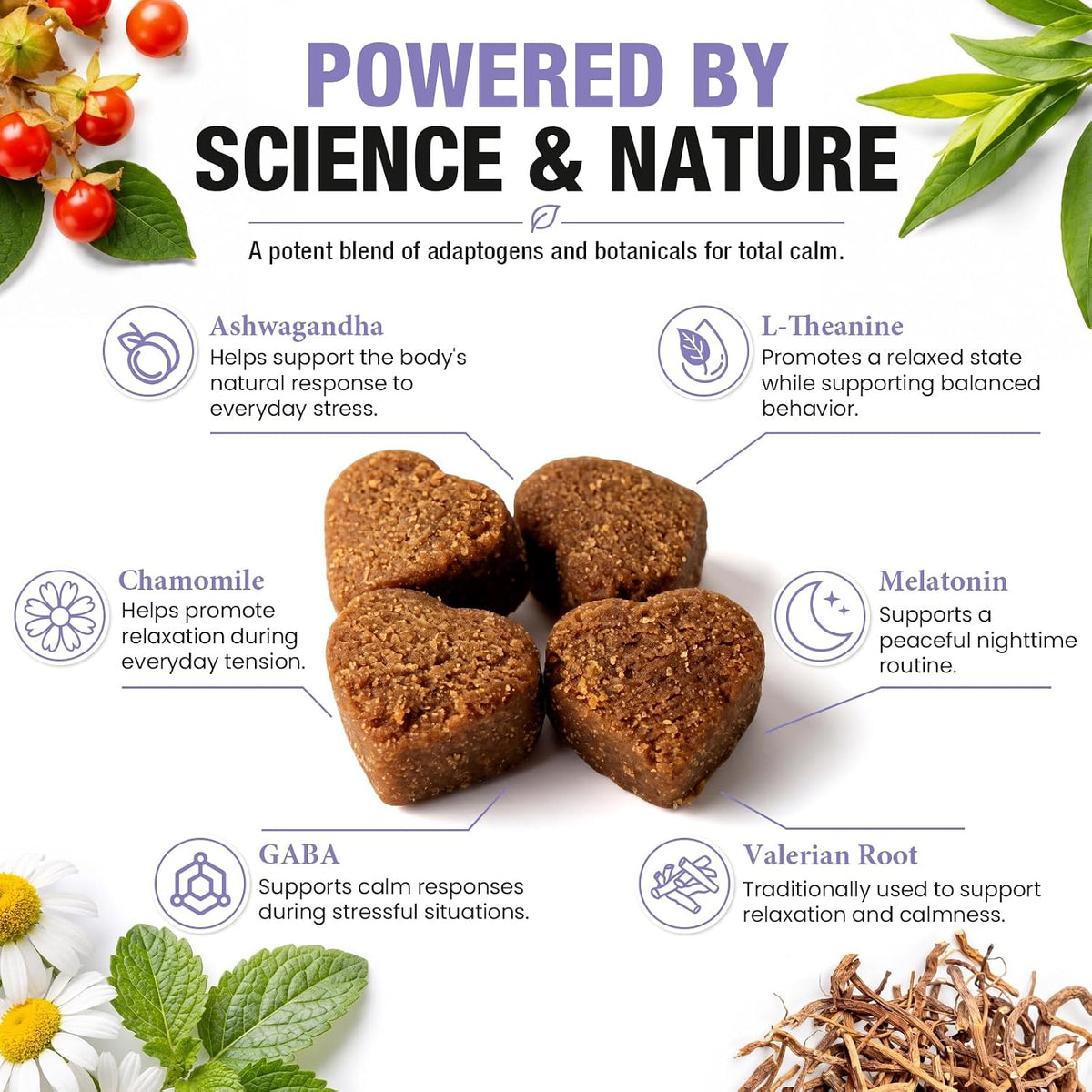 Calming Chews for Dogs - 180Ct Dog Calming Chews Anxiety and Stress Relief