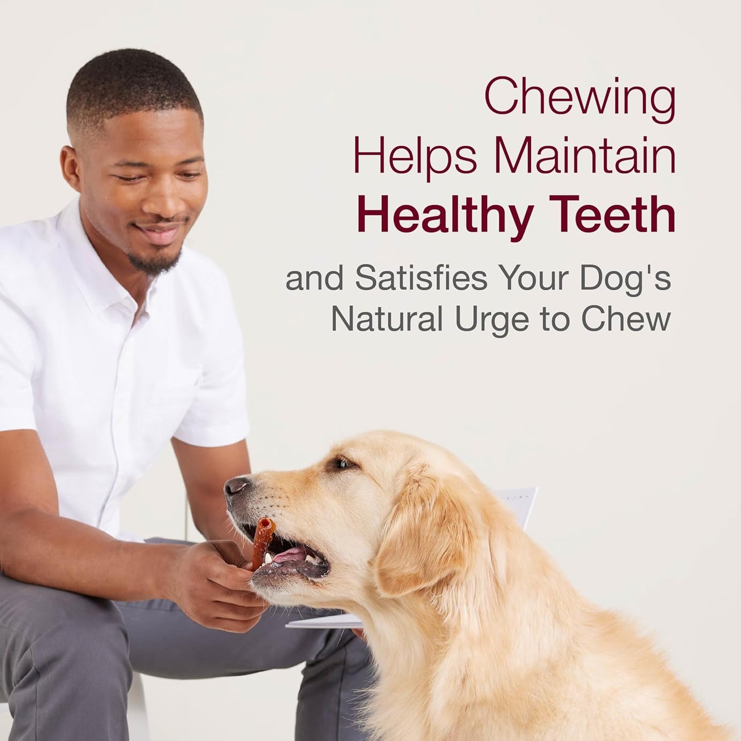 Smartbones Medium Bones with Real Peanut Butter Rawhide-Free Chews for Dogs, 4 Count