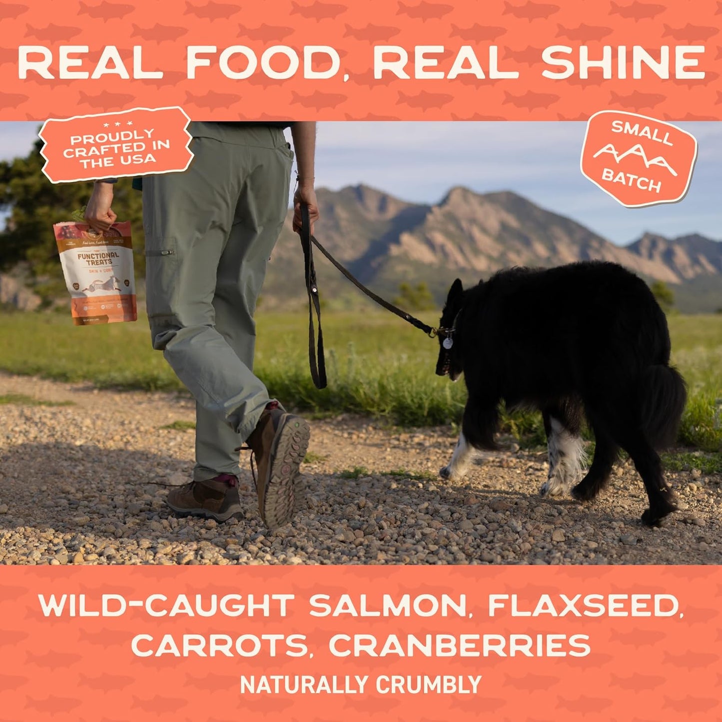 Smart Cookie All Natural Dog Treats - Healthy Skin & Coat Salmon Dog Treats - Ideal for Sensitive Stomachs or Itchy, Allergic, Dry Skin - Dehydrated, Crunchy, Human-Grade, Made in USA - 8Oz, Pack of 1