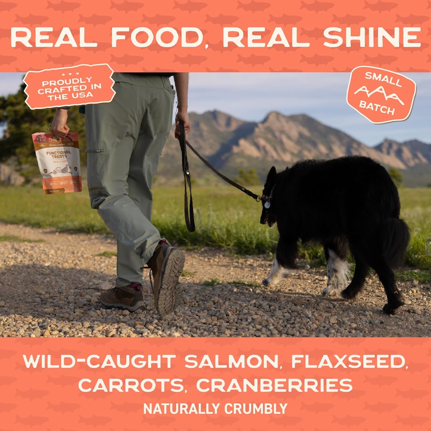 Smart Cookie All Natural Dog Treats - Healthy Skin & Coat Salmon Dog Treats - Ideal for Sensitive Stomachs or Itchy, Allergic, Dry Skin - Dehydrated, Crunchy, Human-Grade, Made in USA - 8Oz, Pack of 1