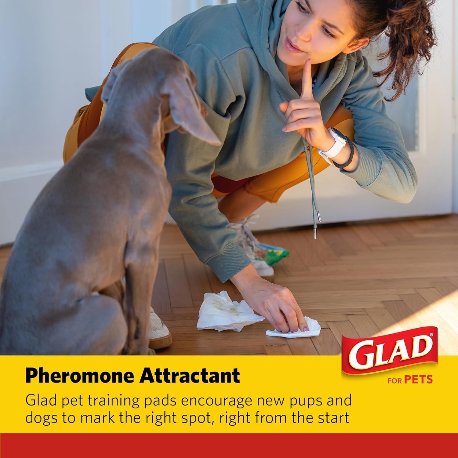 Glad for Pets XL Charcoal Training Pads, Activated Carbon Odor Control with Heavy Duty Leak-Resistant Layers, Quick-Dry Quilted Top Surface, Indoor Potty and Crate Liner, 24 X 24 In, 30 Count