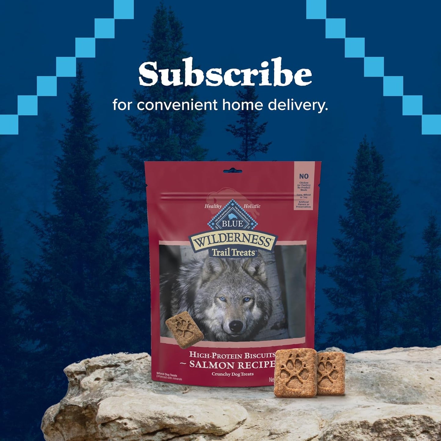 Blue Buffalo Wilderness Trail Treats Crunchy Dog Biscuits, Grain-Free and High-Protein Dog Treats Made with Natural Ingredients, Salmon Recipe 24-Oz Bag