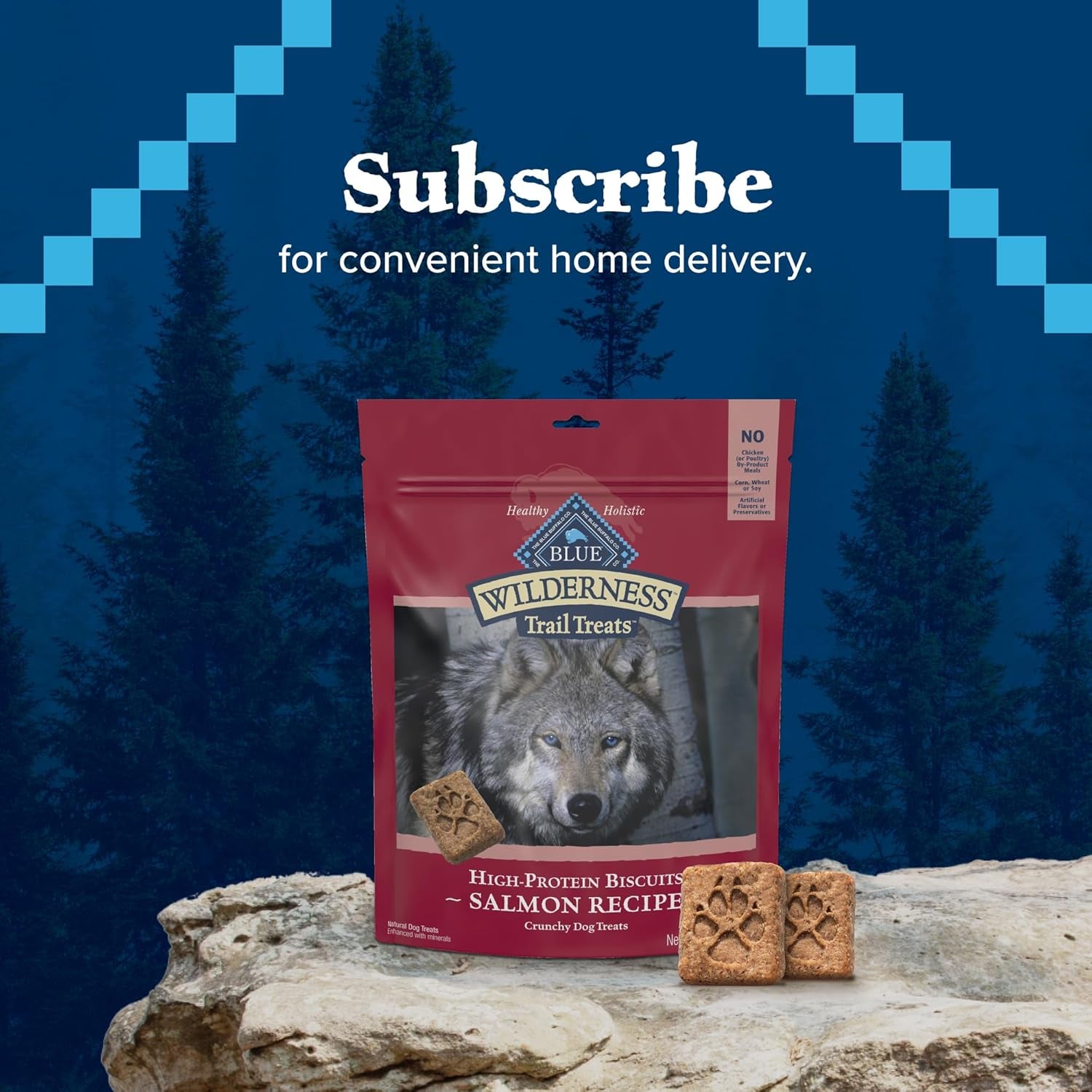 Blue Buffalo Wilderness Trail Treats Crunchy Dog Biscuits, Grain-Free and High-Protein Dog Treats Made with Natural Ingredients, Salmon Recipe 24-Oz Bag