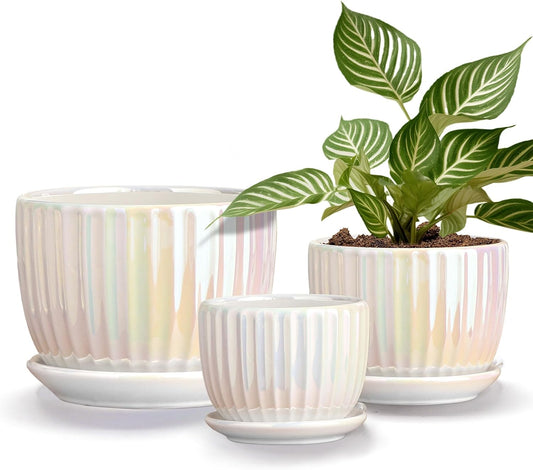 Plant Pots,Ceramic Flower Pots with Drainage Holes & Saucer Set of 3（Pearl）