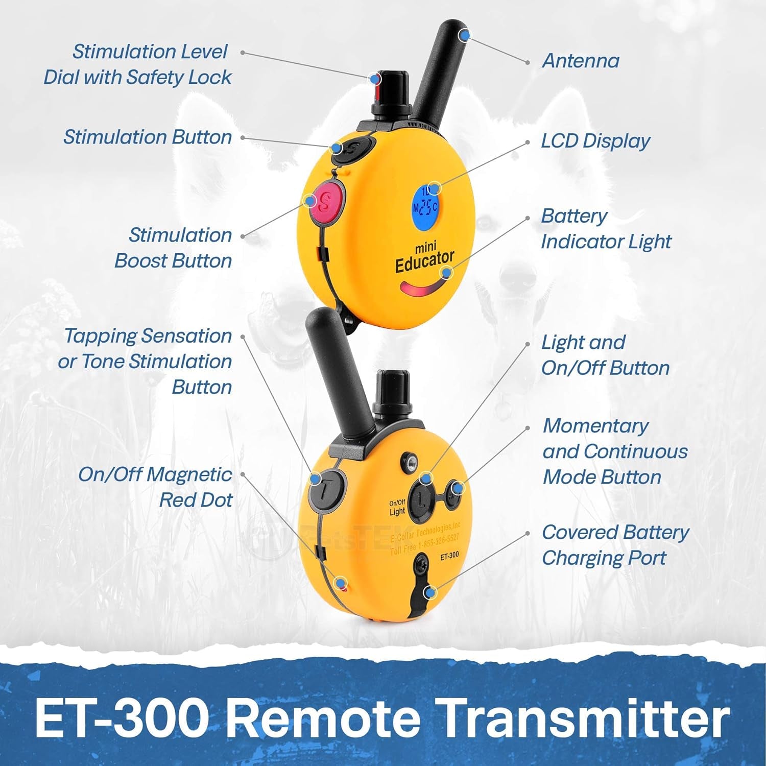 Educator ET-300 Mini E Collar for Dog Training with Remote - 1/2 Mile Range, Waterproof, 100 Blunt Stimulation Levels, Tone or Vibration Mode, Night Light Tracking for Small, Medium & Large Dogs