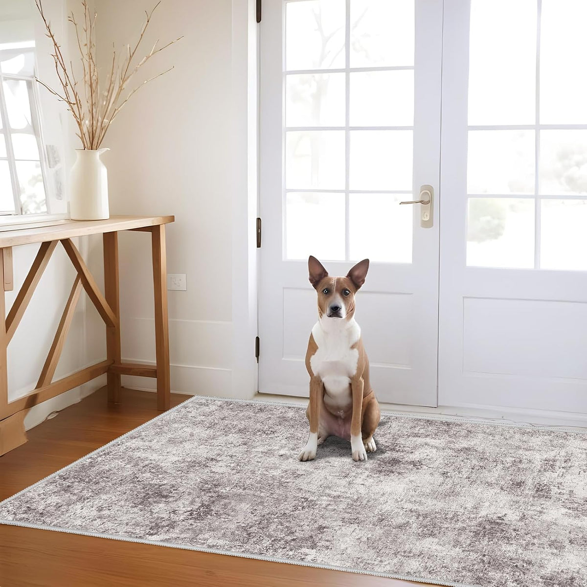 3X5 Washable Area Rug for Entryway: Small Abstract Neutral Rugs Graycream