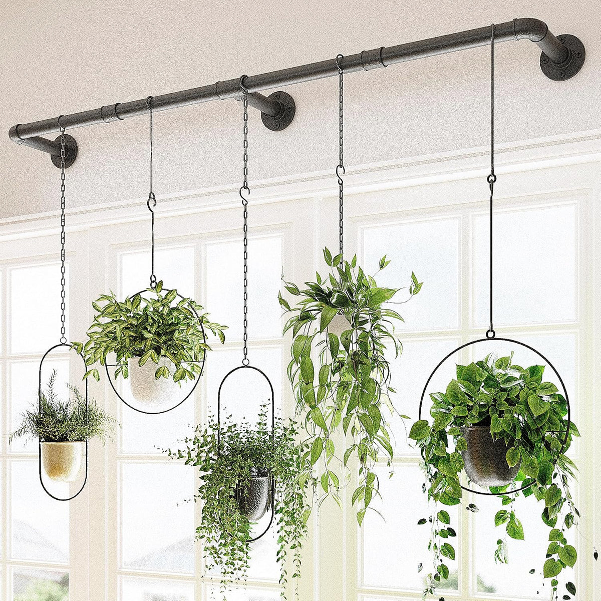 Bamworld Window Plant Hanger Indoor 63In Hanging Planters for Indoor Plants