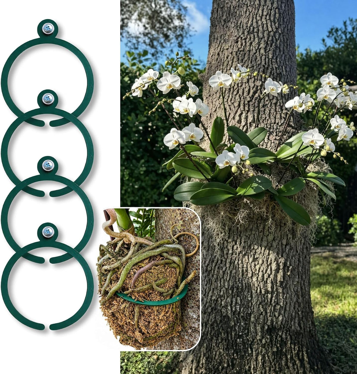 Universal Orchid Mounting Ring – Open Adjustable Design Fits All Orchid Sizes | Mount Orchids on Trees or Walls | Flexible Green Coated Steel with Stainless Screws | Easy Install | 4 Pack