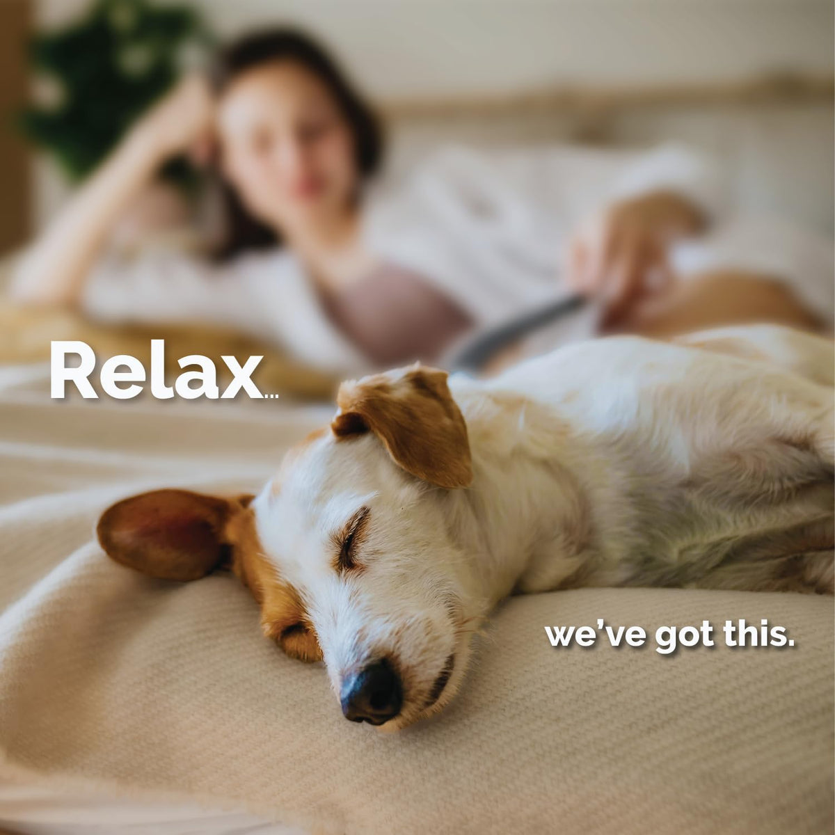 Melatonin Calming Soft Chews for Dogs – Vet-Formulated Anxiety Relief for Travel, Fireworks & Separation Stress, Helps Reduce Tension & Restlessness, Supports Healthy Skin & Coat – 120 Soft Chews