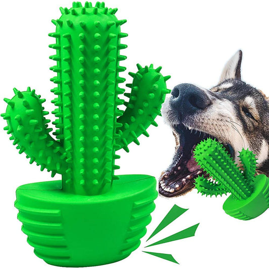 Pamlulu Cactus Dog Chew Toy for Aggressive Chewers, Tough Rubber Squeaky Toothbrush Toy with Textured Grooves, Interactive Dog Toy for Medium and Large Dogs