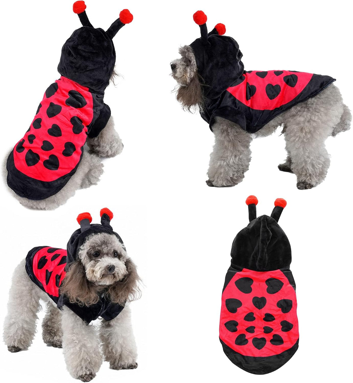 Yoption Ladybug Dog Cat Costume for Halloween, X-Large