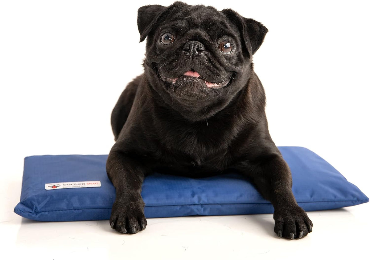 Coolerdog Hydro Cooling Mini Mat for Dogs – Dog Cooling Mat & Cooling Pad for Hot Weather – Triple Layer Ice & Water Cooling System (18" X 10.5")