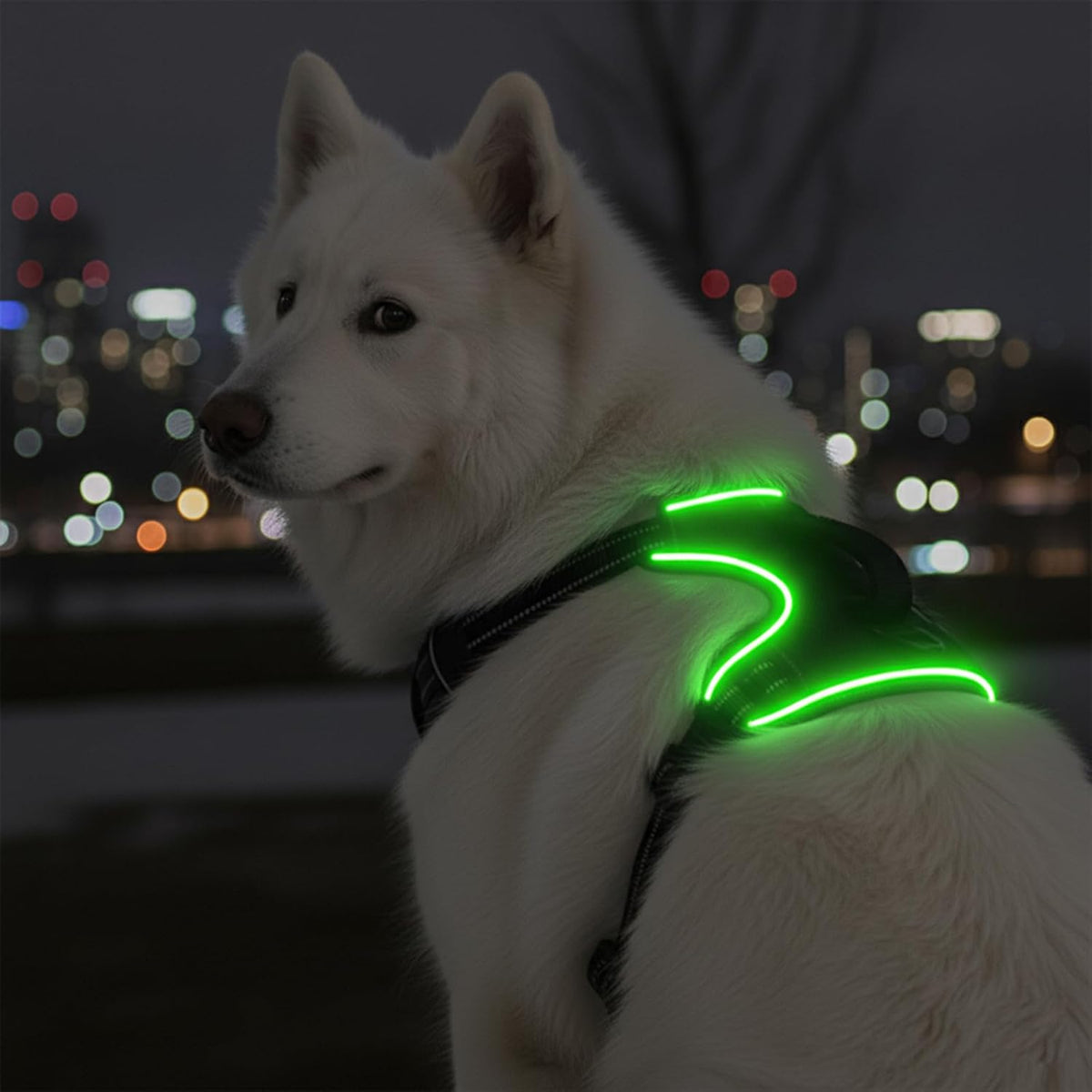 Light up Dog Harness for Medium/Large Dogs