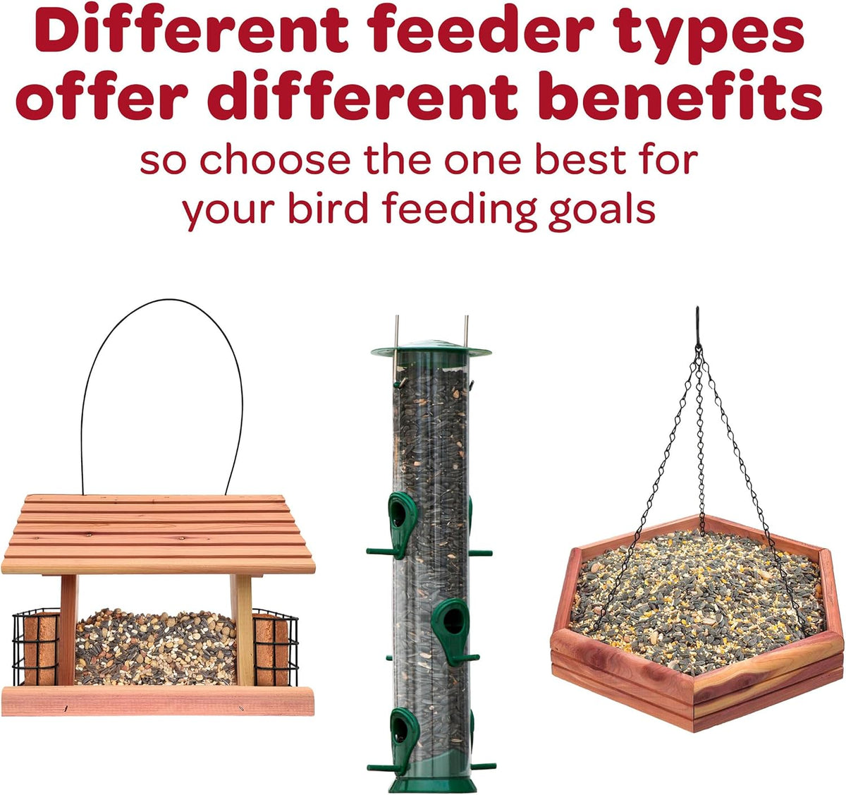 Kaytee Wild Finch Bird Food Stand up Bag, 5 Pounds