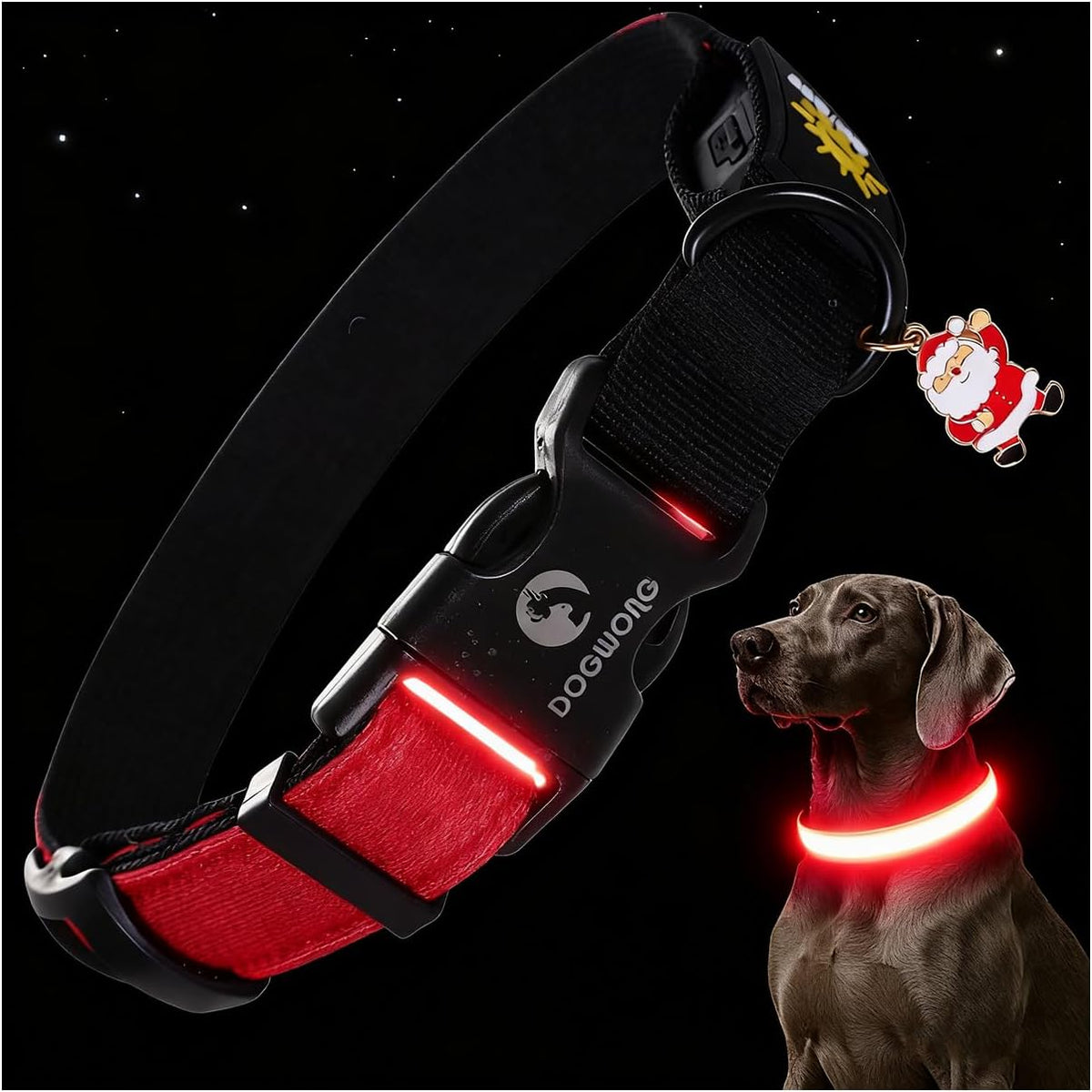 LED Light up Dog Collars for Small Medium Large Dogs (Red,L)