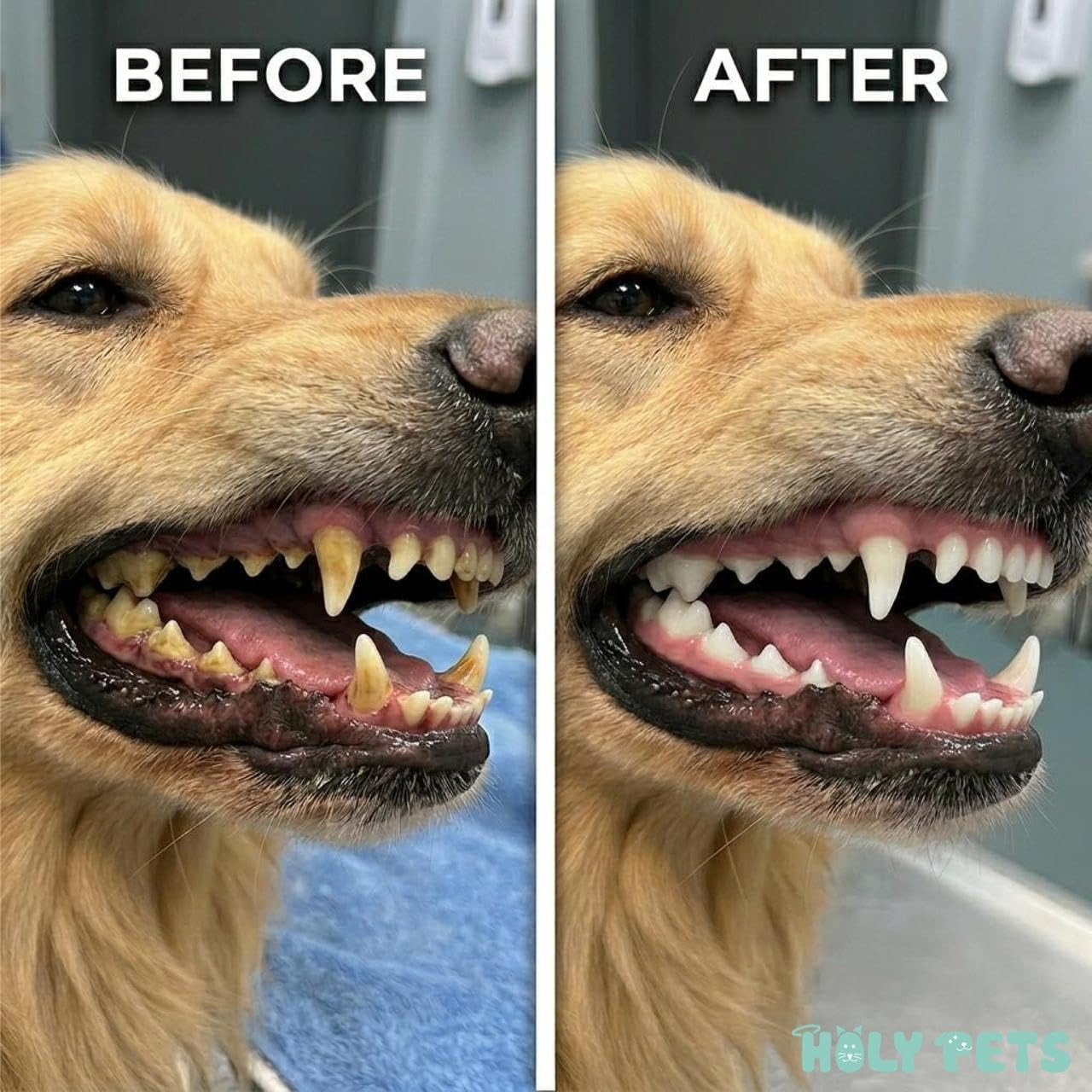 Dog Breath Freshener & Dental Powder for Teeth Cleaning – Plaque off and Tartar Support for Dogs with Natural Herbal Blend & Postbiotics for Total Canine Oral Care (45G)