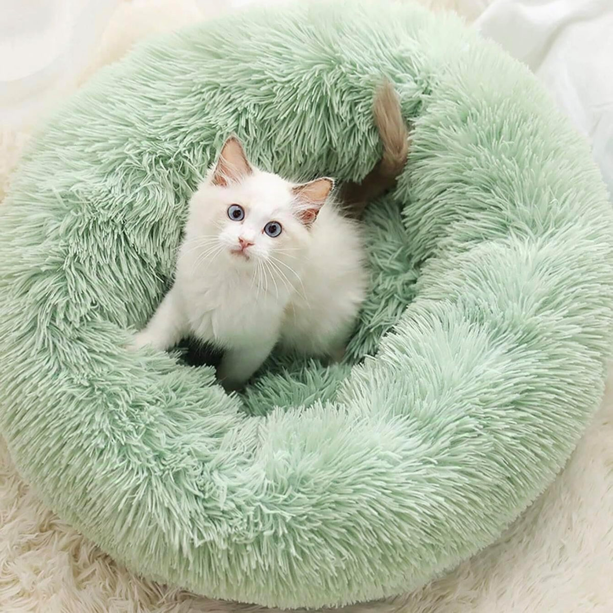Cat Beds for Indoor Cats - Washable 20/24 Inches, Anti-Anxiety round Plush Faux Fur, Thick Bottom (Light Green, Medium) - Suitable for Small to Medium Dogs