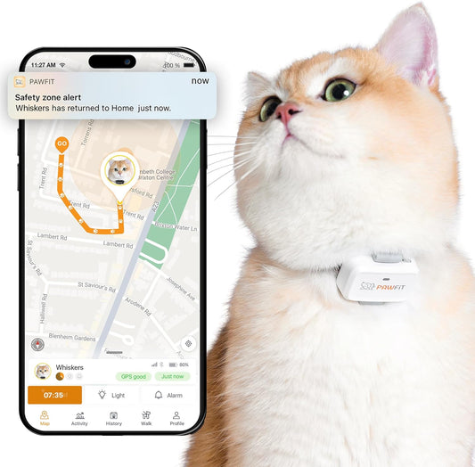 Pawfit Lite for Cats 4G GPS Tracker | Ultra-Small (<18G) Design | Real-Time Tracking | Activity Monitoring | Location History | Unlimited Range | Safety Collar Included | Simply White