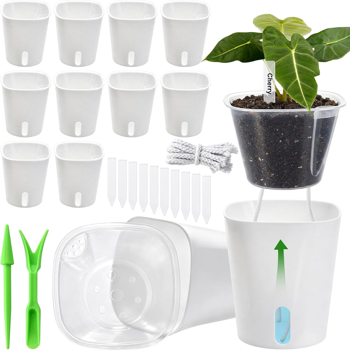 3" Self Watering Pots for Indoor Plants,10 Pack Clear Plant Pots with Drainage, 3 Inch Indoor Plant Pots for Cuttings, Seedlings, Herb, African Violet, Water Level Indicator (10, 3")