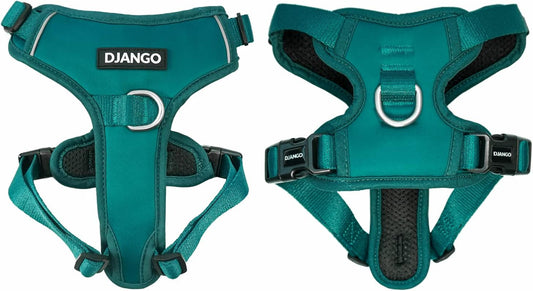 No Pull Dog Harness for Small Dogs - Padded Dual Clip - Green, M