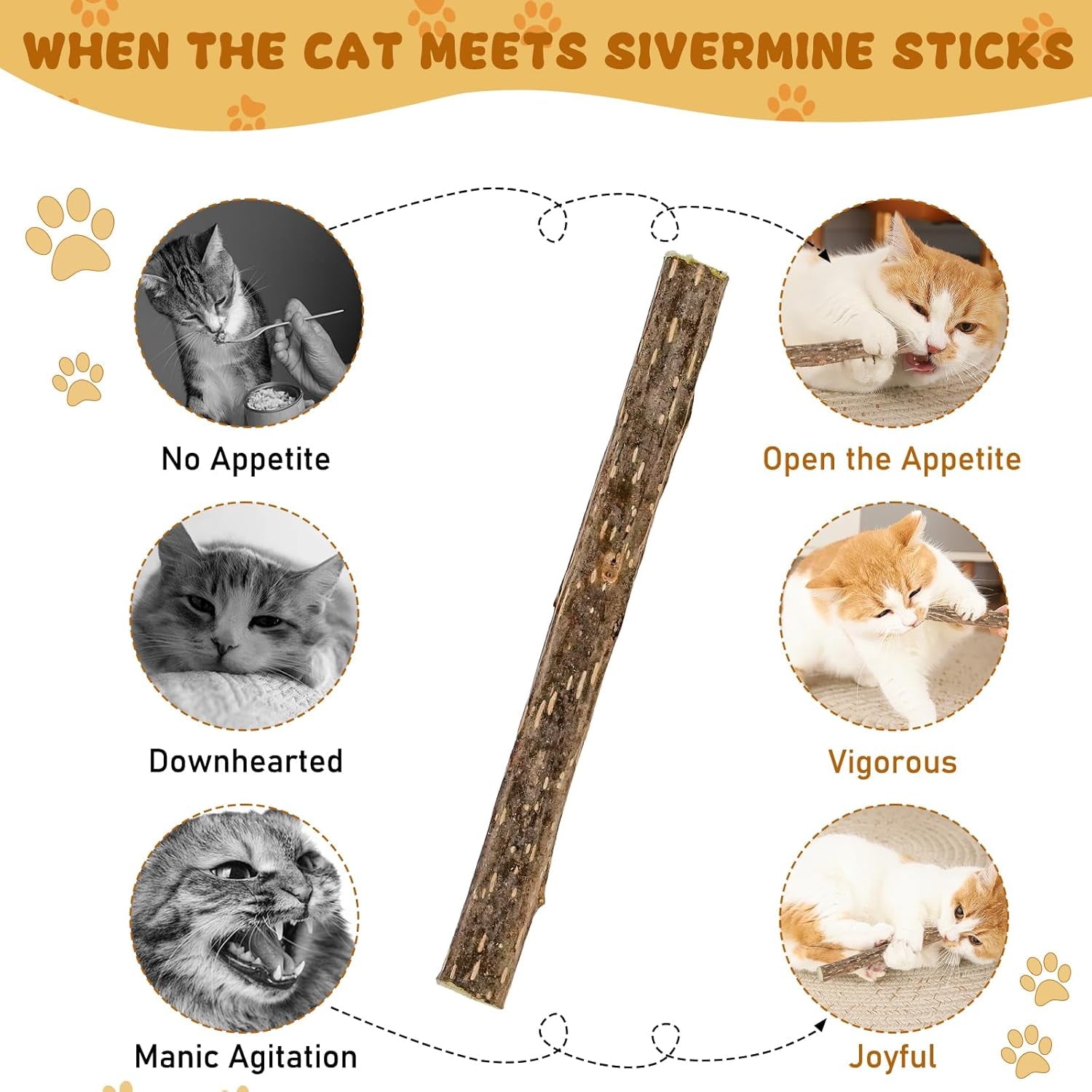 Wolover Silvervine Sticks for Cats, Natural Catnip Matatabi Chew Sticks Teeth Molar Chew Toys for Cat Kitten Kitty (At Least 12 PCS)
