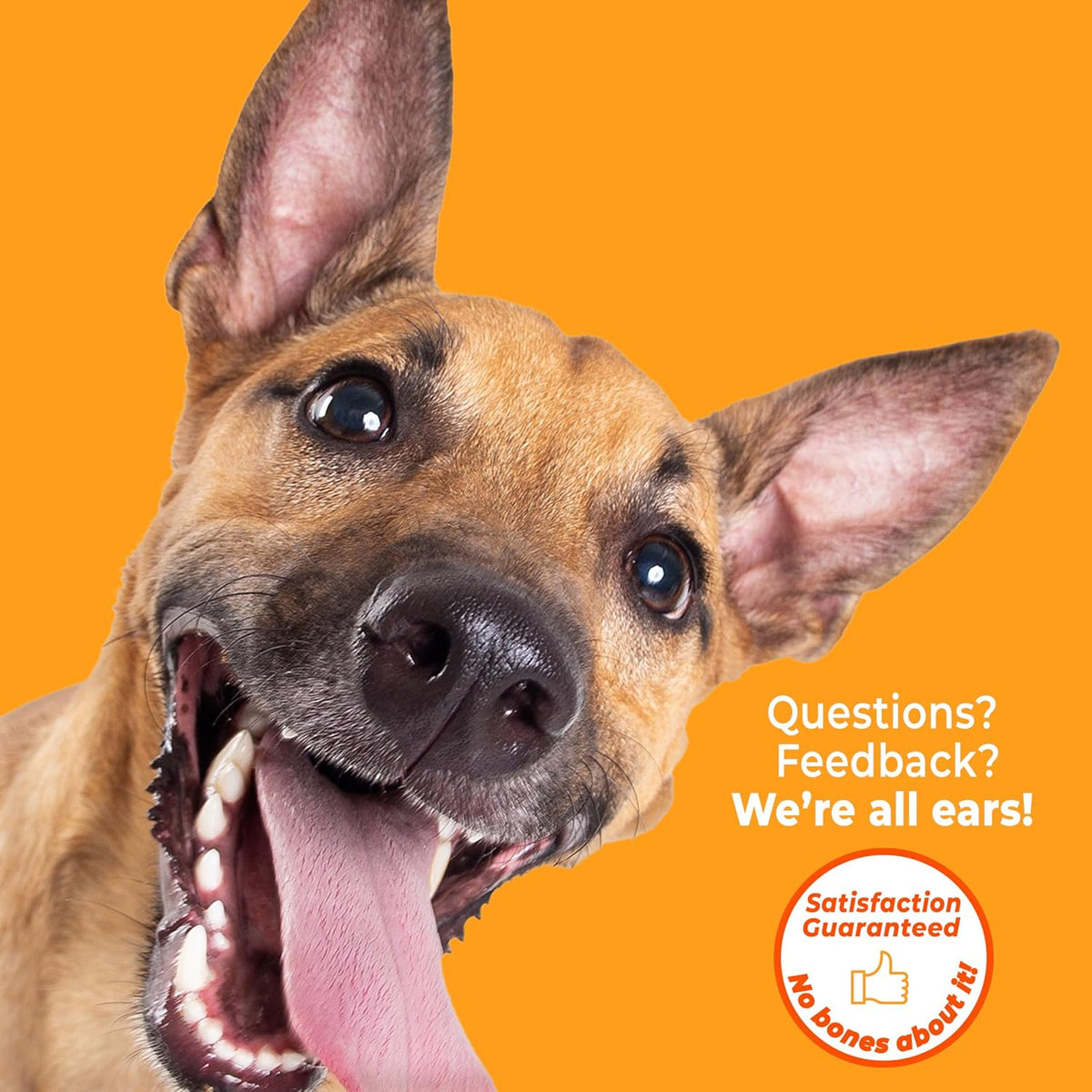 Nylabone Puppy Chew 2-In-1 Teething Freezer Bone Dog Chew Toy, Small